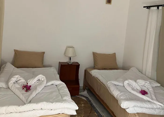 מלון Dahab Lodge דהב